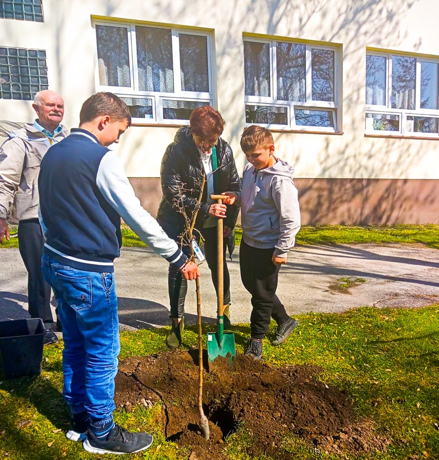 II Małopolski Dzień dla Klimatu w powiecie miechowskim – podsumowanie kampanii informacyjno-edukacyjnej promującej sadzenie drzew przyjaznych owadom zapylającym