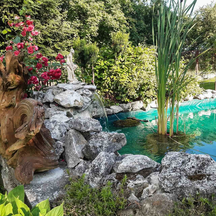 Rozstrzygnięcie konkursu „Najładniejszy ogród letni w Gminie Trzyciąż”