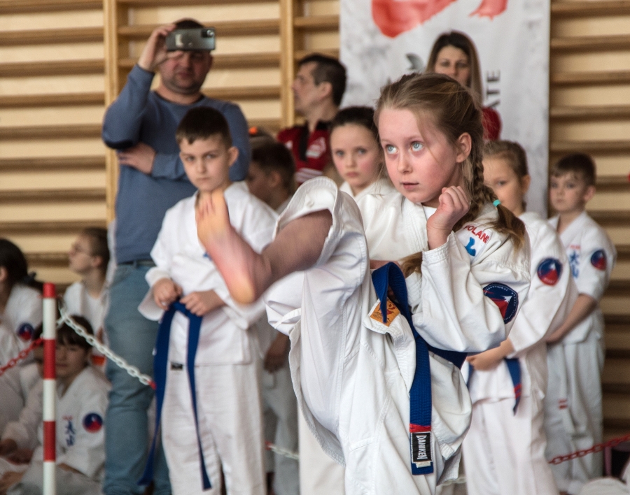 V Otwarty Turniej Regionalny OYAMA Karate w Kumite i Kata o Puchar Burmistrza Miasta i Gminy Wolbrom
